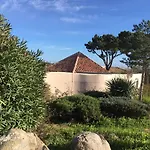 Marina Di Santa Giulia Daire *
